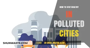 Breathing Easy: Strategies for Urban Health