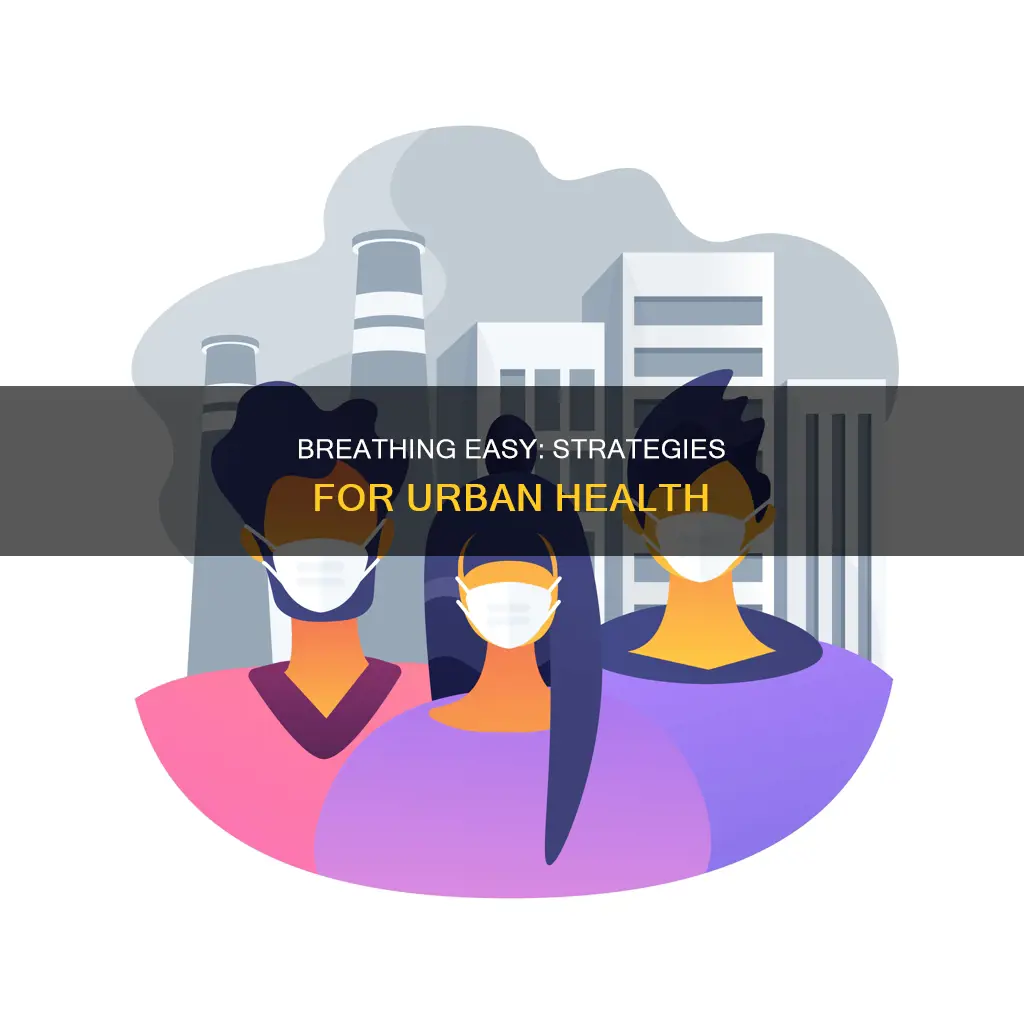 how to stay healthy in polluted cities