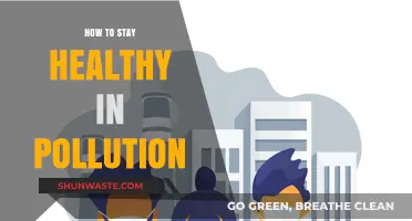 Stay Healthy in Polluted Areas: Breathe Easy Tips
