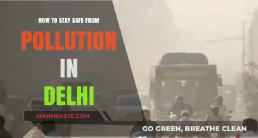 Protecting Yourself from Delhi's Pollution