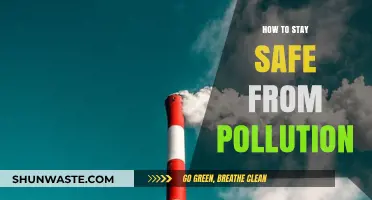 Protecting Yourself from Pollution: A Guide to Staying Safe