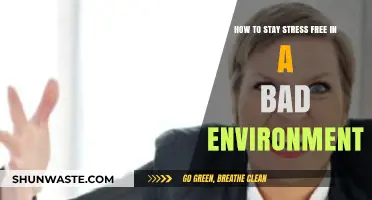 Surviving and Thriving: Strategies to Stay Stress-Free in Toxic Environments