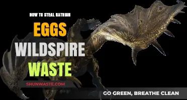 Stealing Rathian Eggs in Wildspire Waste: A Sneaky Hunter's Guide