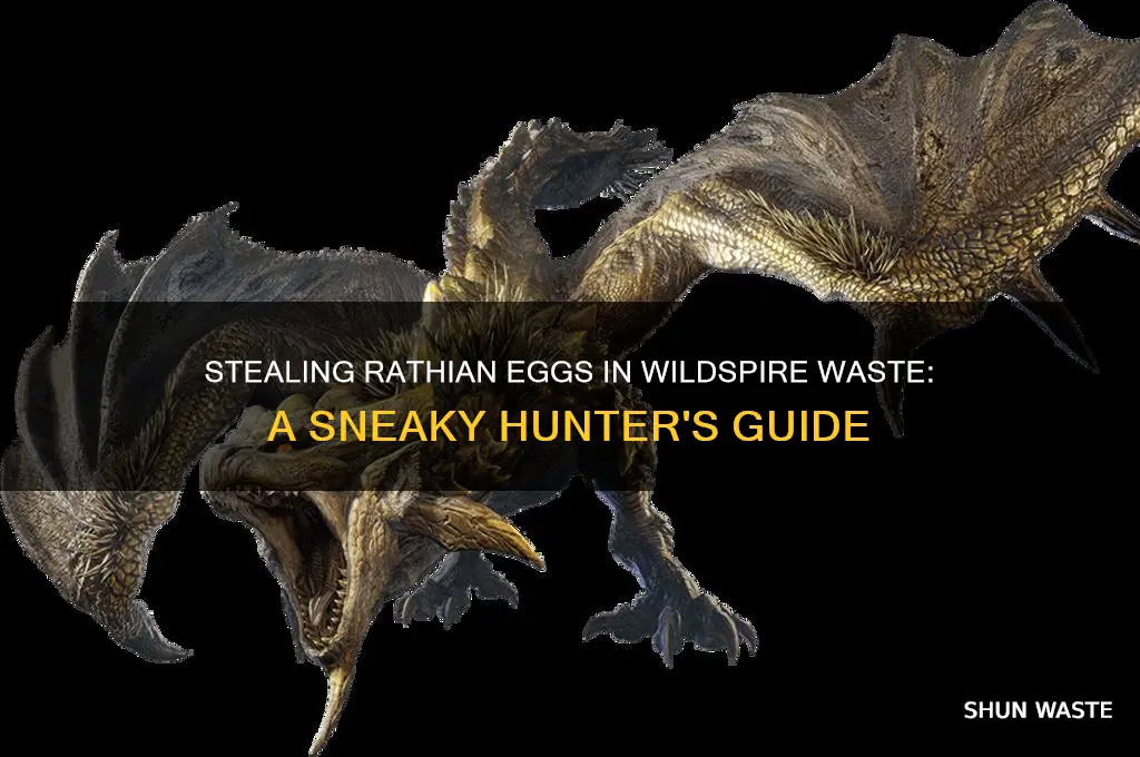 how to steal rathian eggs wildspire waste