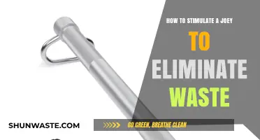 Helping Joeys Poop: Effective Waste Elimination Stimulation Techniques