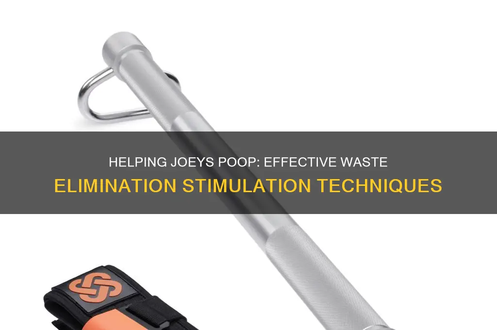 how to stimulate a joey to eliminate waste