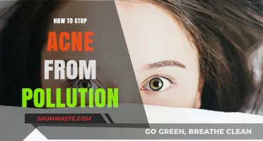 Battling Acne: Protecting Your Skin from Pollution