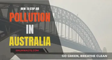 Australia's Air Pollution: Strategies for a Cleaner Future