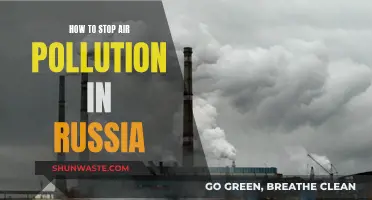 Russia's Air Pollution: Strategies for a Cleaner Future