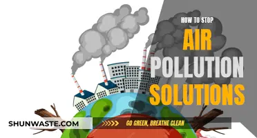 Solutions to Stop Air Pollution: Actionable Steps to Breathe Easier