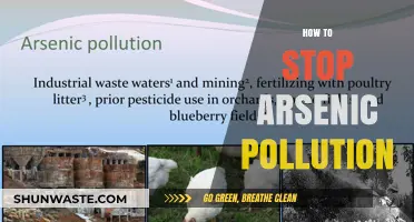 Arsenic Pollution: Strategies for Prevention and Control