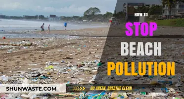 Protecting Our Beaches: Stopping Pollution at the Source