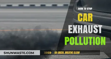 Eradicating Car Exhaust Pollution: Practical Steps to Take