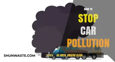 Green Driving: Reducing Car Pollution