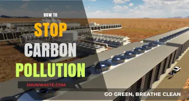 Carbon Pollution: Strategies for a Cleaner Future