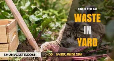Effective Strategies to Keep Cats from Using Your Yard as Litter