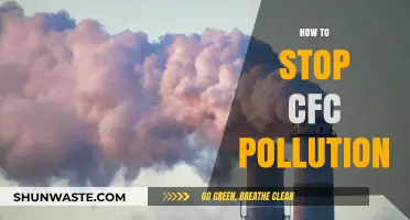 Eradicating CFC Pollution: Strategies for a Greener Tomorrow