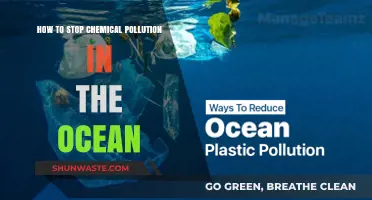Protecting Our Ocean: Stopping Chemical Pollution