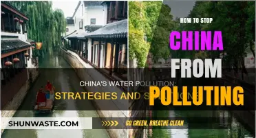 Stopping China's Pollution: A Global Effort