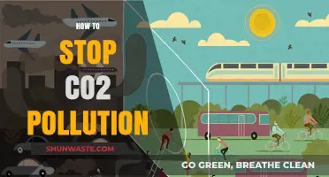 Cutting CO2 Emissions: Strategies for a Sustainable Future
