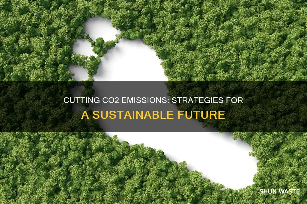 how to stop co2 pollution
