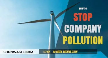 Cutting Company Pollution: Strategies for a Greener Future