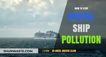 Cruise Ships: Reducing Environmental Impact and Pollution