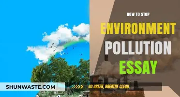 Environmental Pollution: Solutions for a Sustainable Future