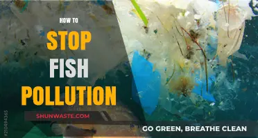 Protecting Aquatic Life: Stopping Pollution at Its Source