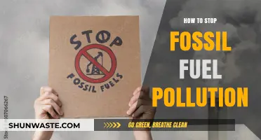 Ending Fossil Fuel Pollution: A Sustainable Future