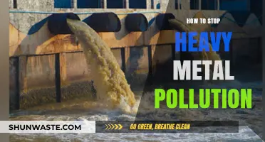 Eradicating Heavy Metal Pollution: Strategies for a Cleaner Environment