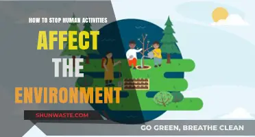 Sustainable Choices: How to Halt Human Impact on Our Environment