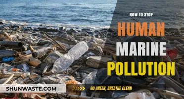 Protecting Our Oceans: Stopping Human Marine Pollution