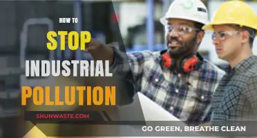 Industrial Pollution: Strategies for a Sustainable Future