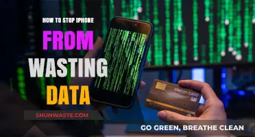 Save Mobile Data: Tips to Stop iPhone Data Waste