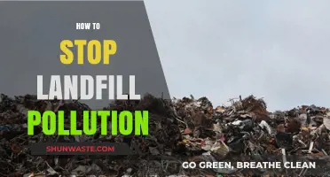 Stopping Landfill Pollution: Strategies to Reduce Waste's Impact
