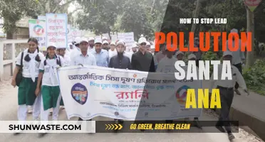 Santa Ana: Stopping Lead Pollution