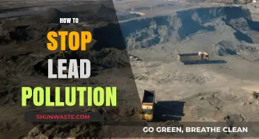 Preventing Lead Pollution: Strategies for a Healthier Environment