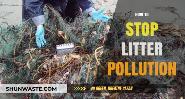Stop Litter Pollution: Take These Steps to Clean Up
