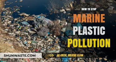 Eradicating Marine Plastic Pollution: Actionable Steps to Take Now