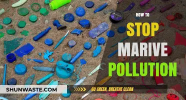 Protecting Marine Life: Stopping Pollution at the Source