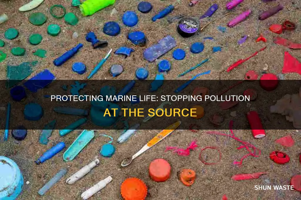 how to stop marive pollution