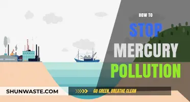 Eradicating Mercury Pollution: Strategies for a Cleaner Environment