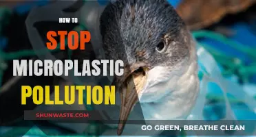 Eradicating Microplastic Pollution: Strategies for a Sustainable Future