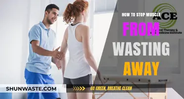 Prevent Muscle Loss: Effective Strategies to Maintain Strength and Mass