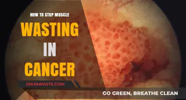 Preventing Muscle Wasting in Cancer: Effective Strategies for Strength & Recovery