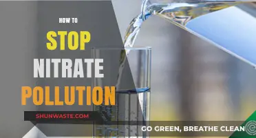 Preventing Nitrate Pollution: Strategies for a Sustainable Future