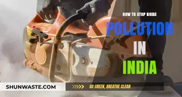 Quieting India: Strategies to Combat Noise Pollution