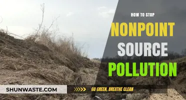 Preventing Nonpoint Source Pollution: Strategies for a Cleaner Environment