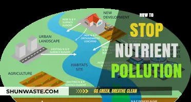 Protecting Our Waterways: Stopping Nutrient Pollution